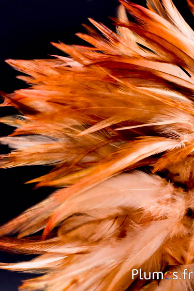 Hahnenfederkragen - Federlänge 10-15 cm - wildsand